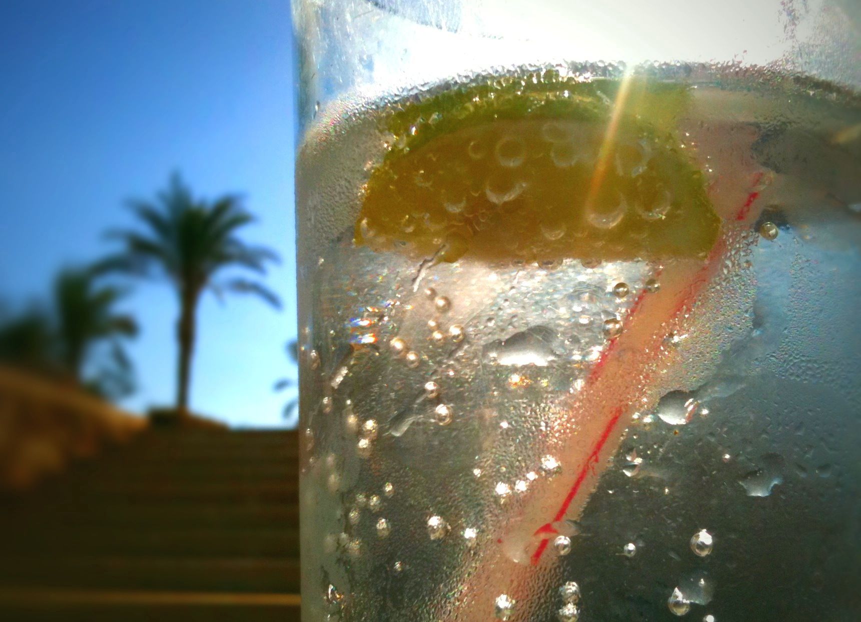 Day 12 – G&T, it’s got to be