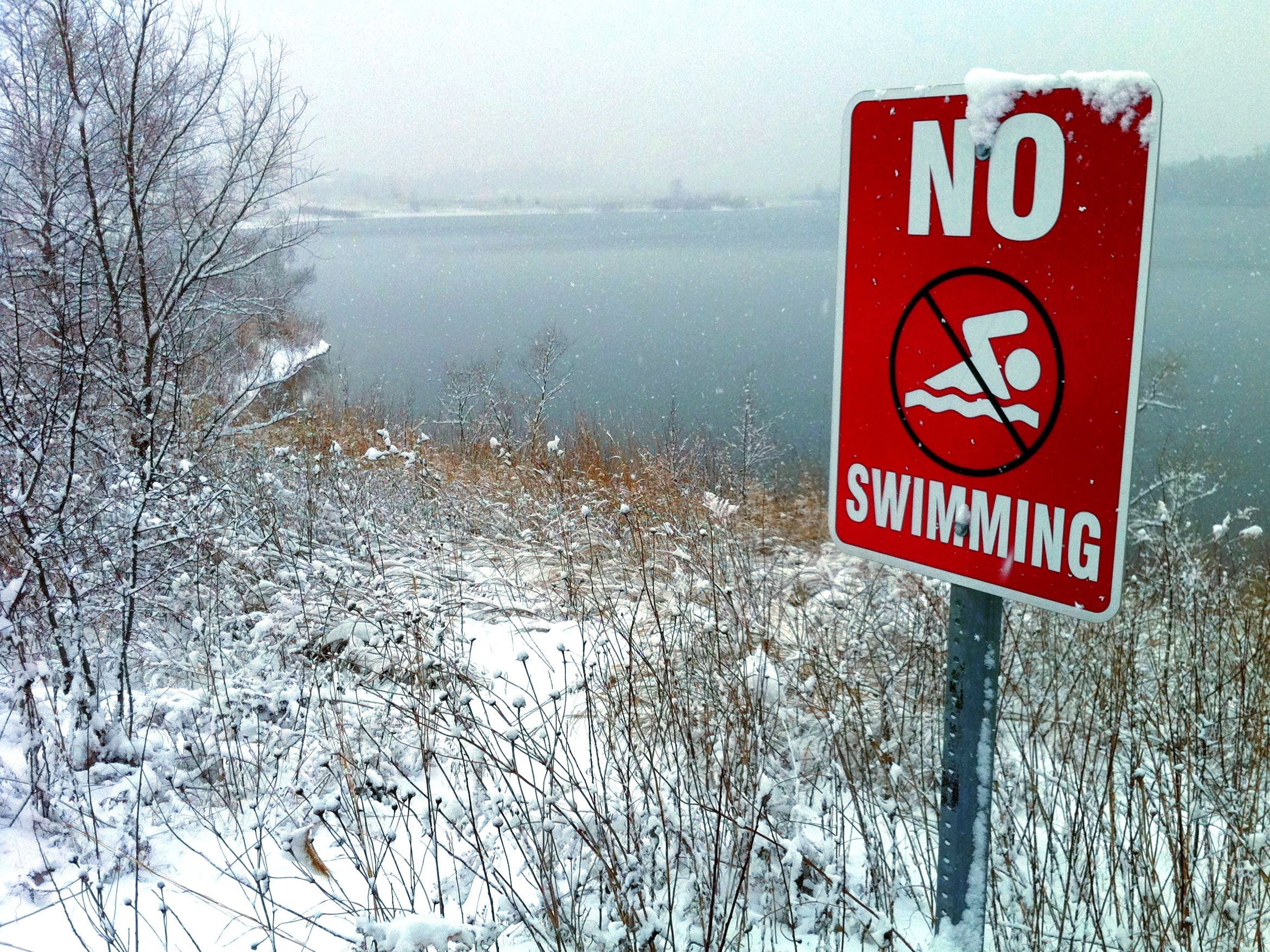 Day 93 – No swimming