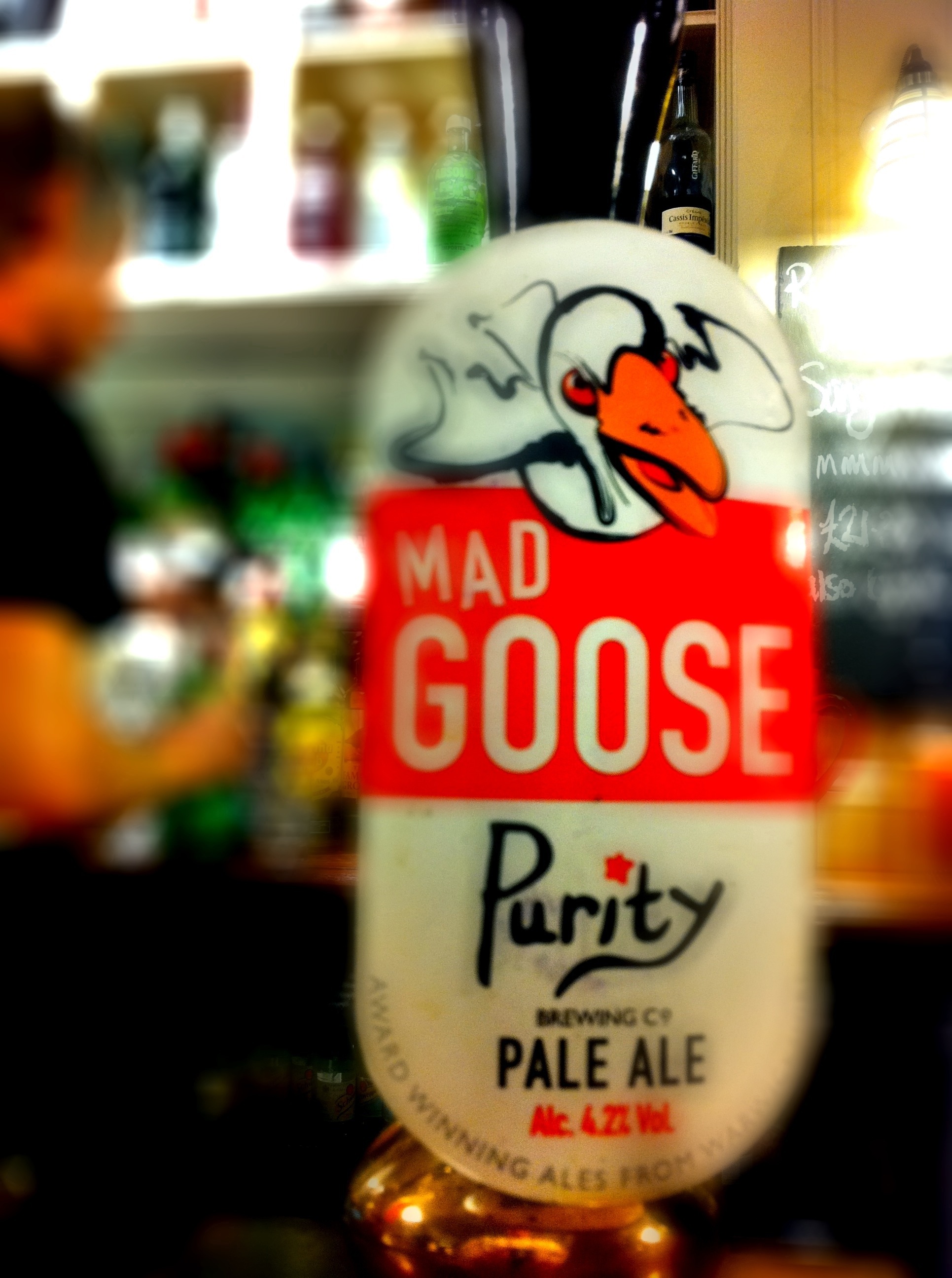 Day 346 – Mad Goose
