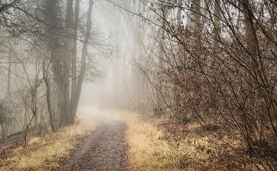 Day 64.3 – Misty trail