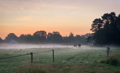 Day 215.3 – Misty dawn