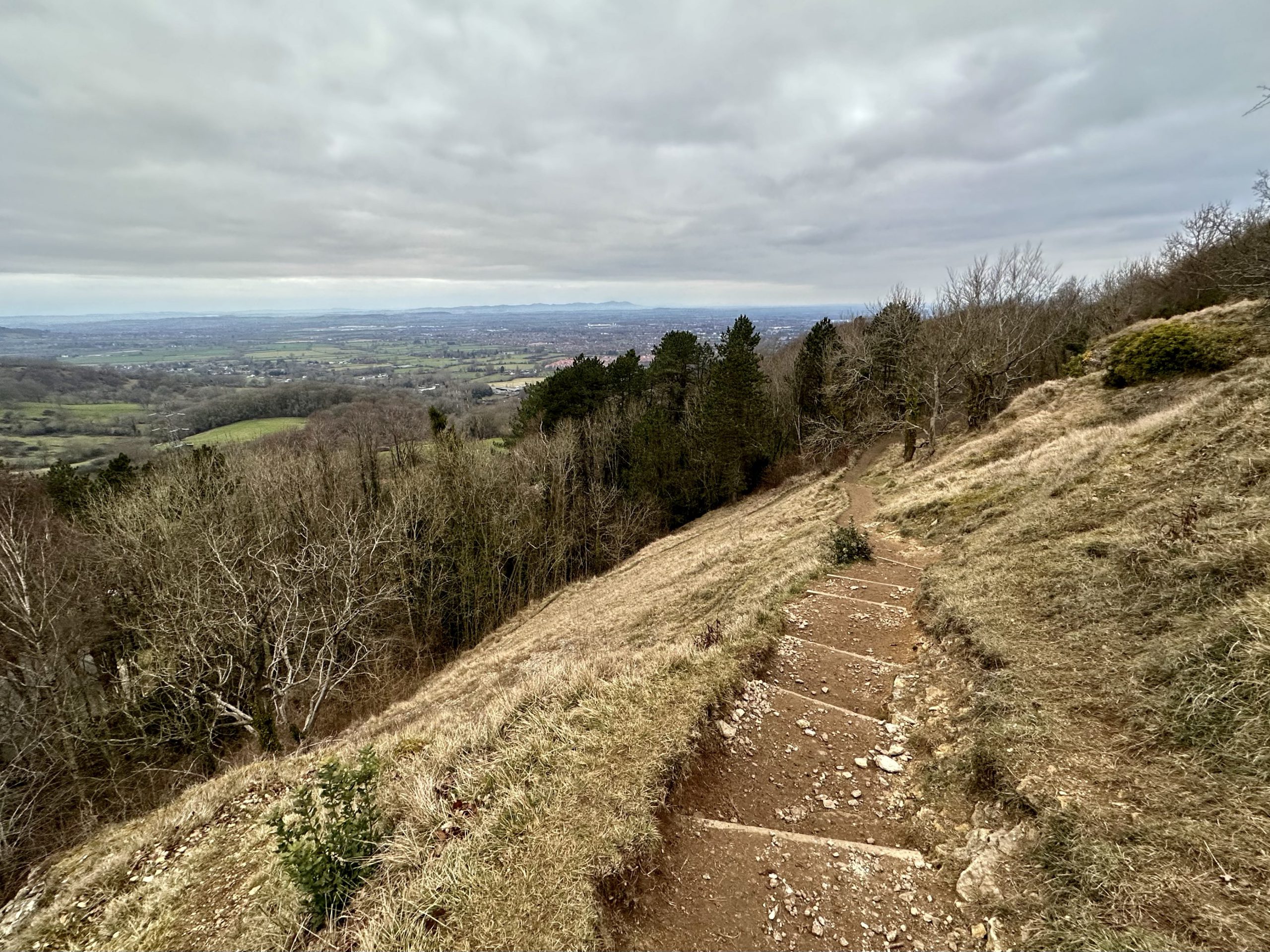 Day 64.4 – Leckhampton hill