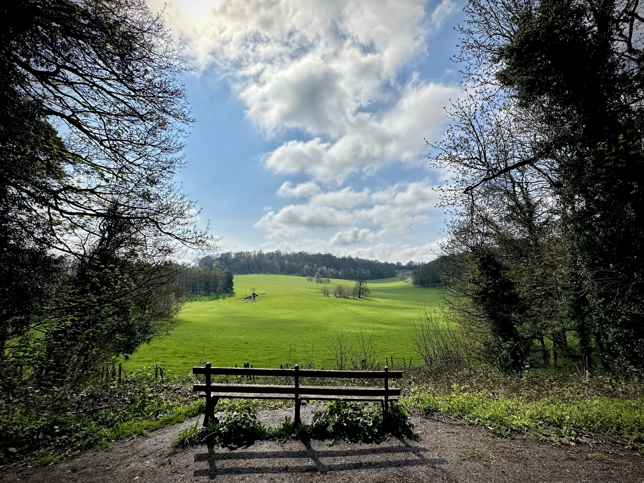 Day 105.4 – Reigate hill