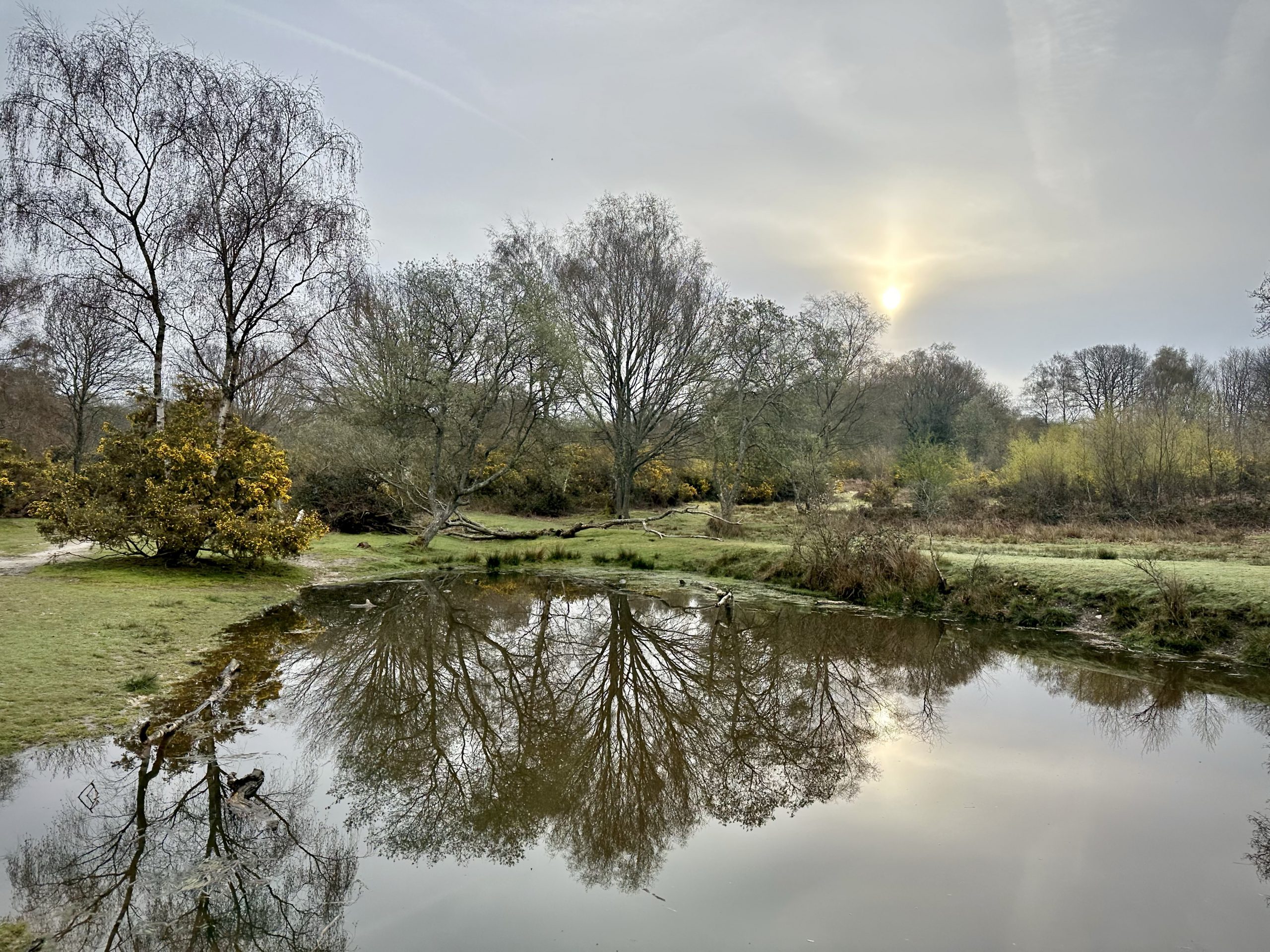 Day 106.4 – Headley ponds
